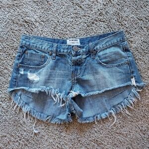 ONE x ONE TEASPOON for Free People Bonitas shorts 27